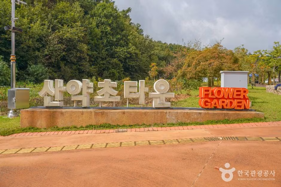 산약초타운