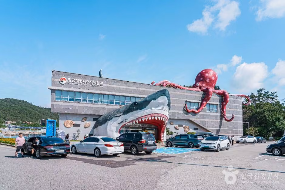 땅끝해양자연사박물관