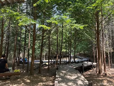서울대공원 산림욕장