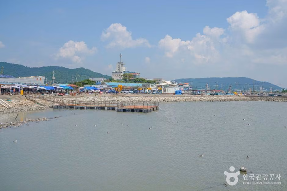 설도항