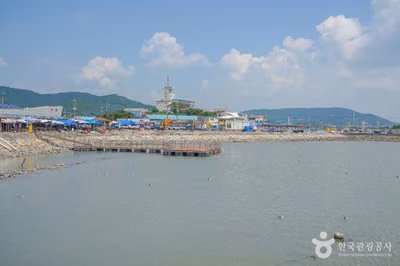 설도항