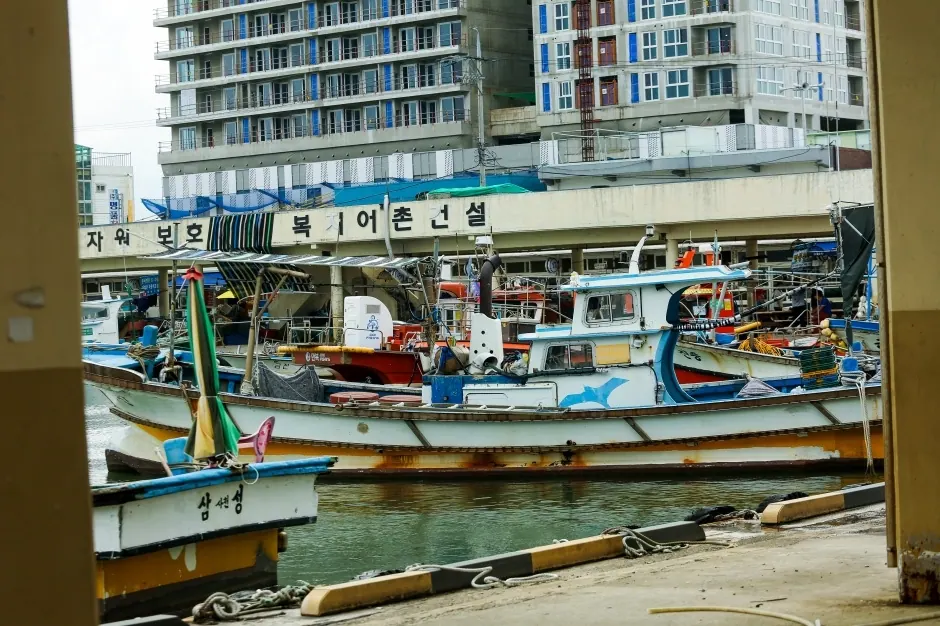 사천진항