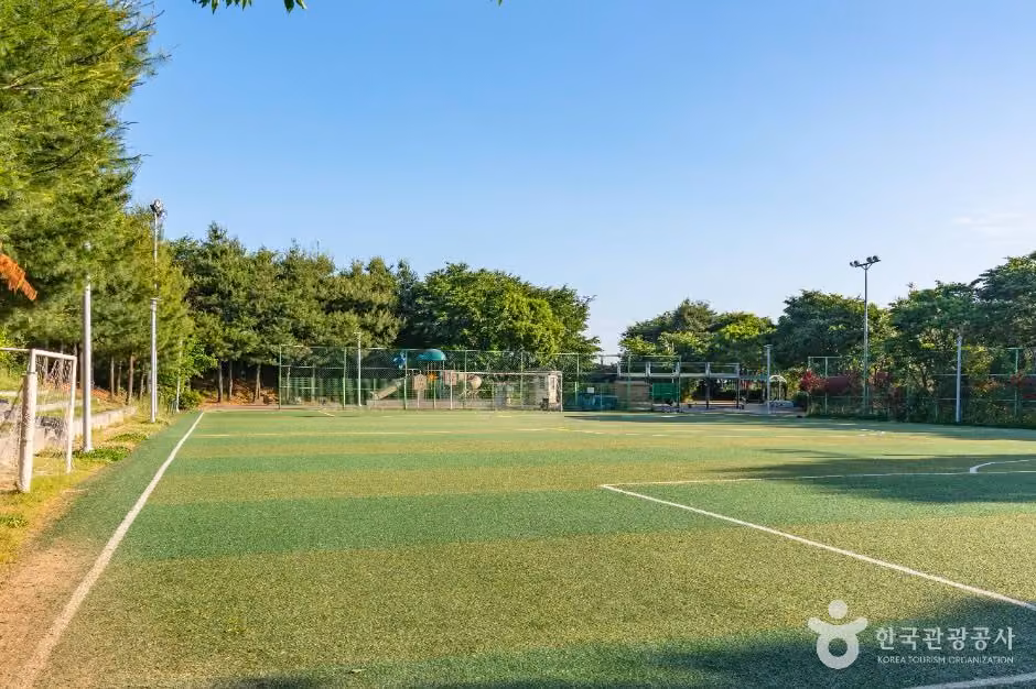 서탄금암체육공원
