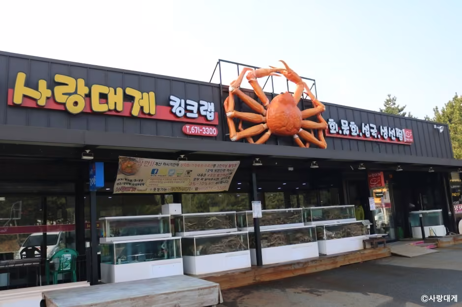 사랑대게