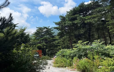 별빛캠핑장