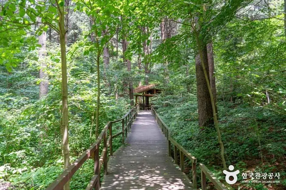 국립 청태산자연휴양림