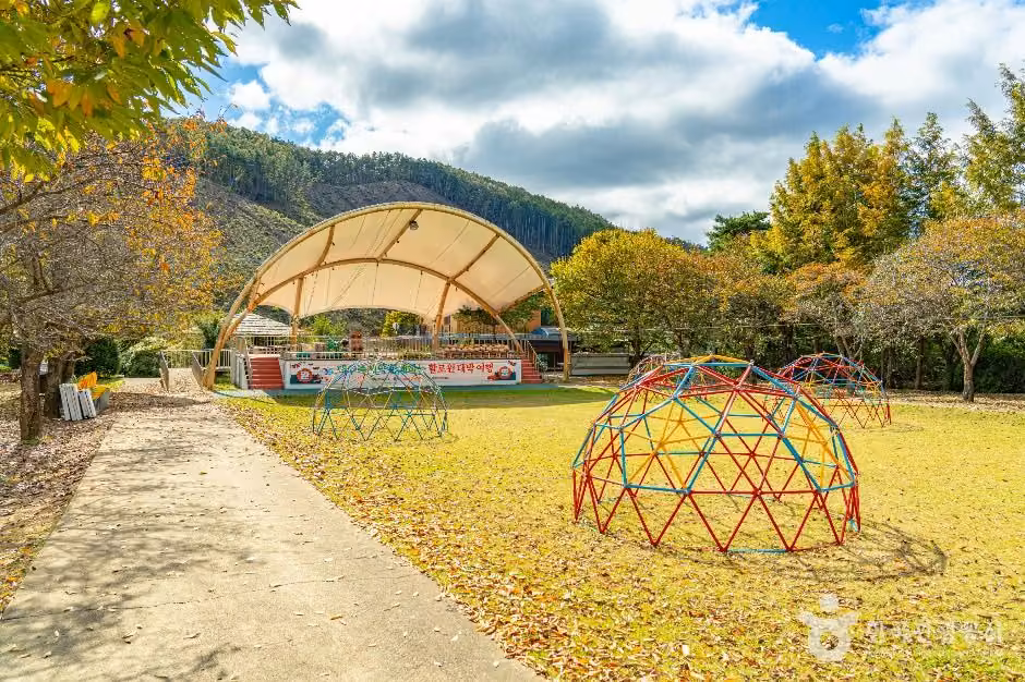잘산대대박마을