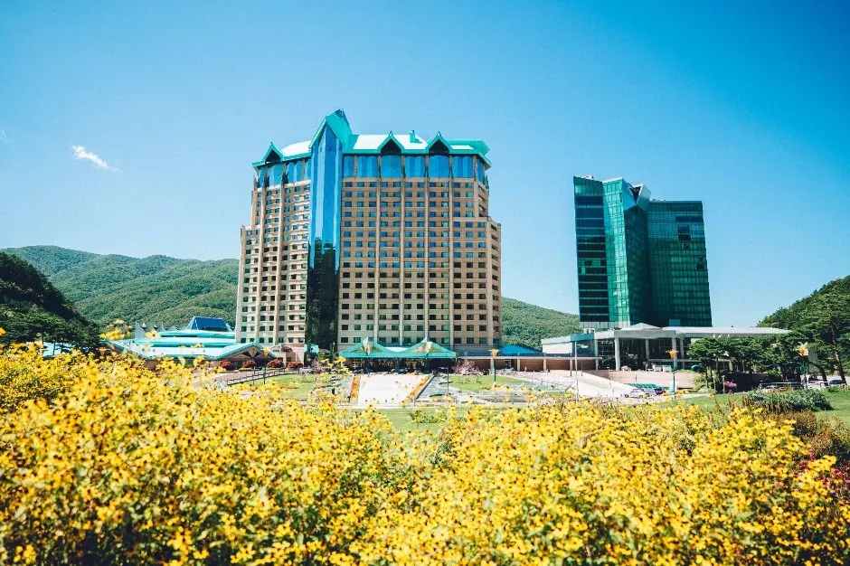 하이원 그랜드호텔