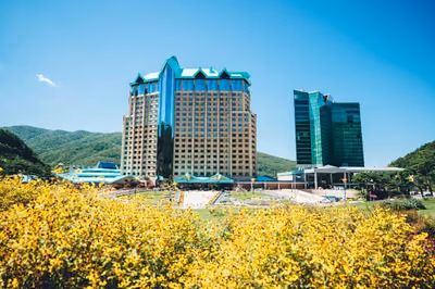 하이원 그랜드호텔