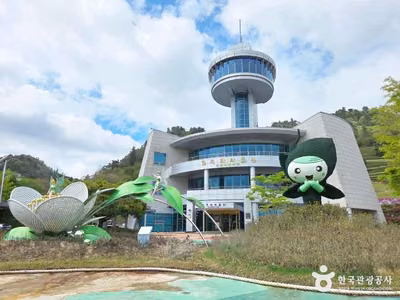 한국차박물관