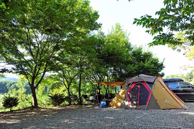 금동산야