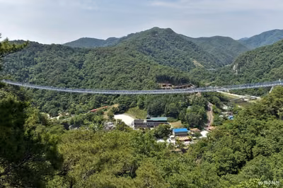 소금산 스카이워크 브릿지(소금산 출렁다리)