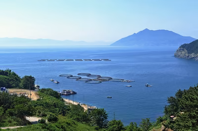 도동해변