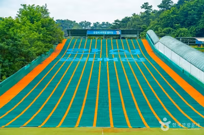 안성시 사계절썰매장