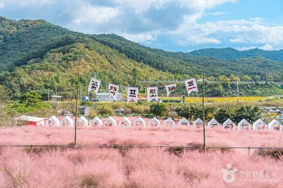 꽃객프로젝트