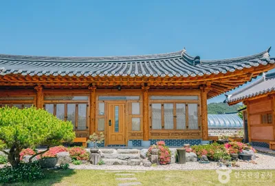 별바라기집