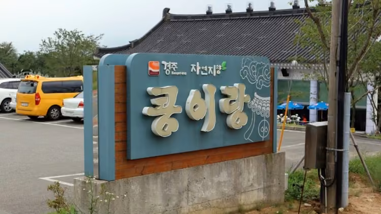 콩이랑