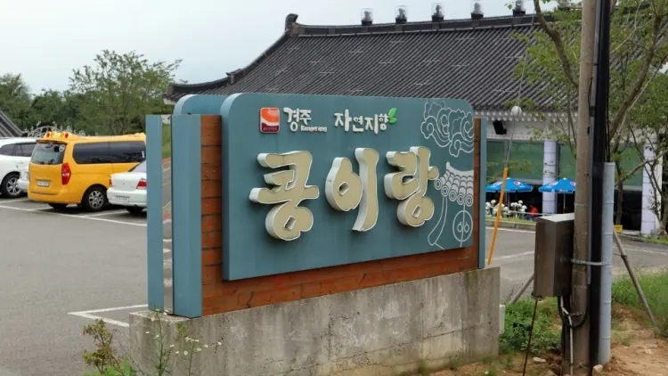 콩이랑