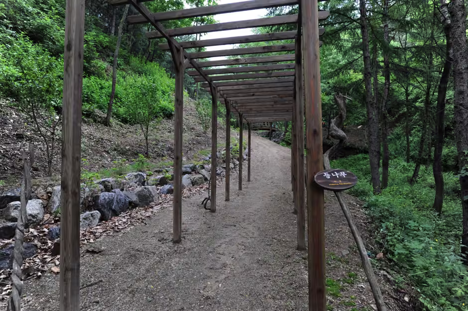 창안산산림욕장
