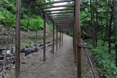 창안산산림욕장