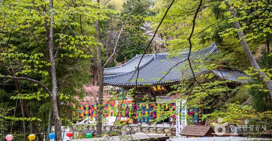 홍룡사(양산)