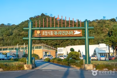 대나무 건강나라