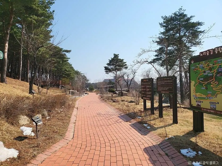 노리숲길