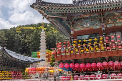 삼광사