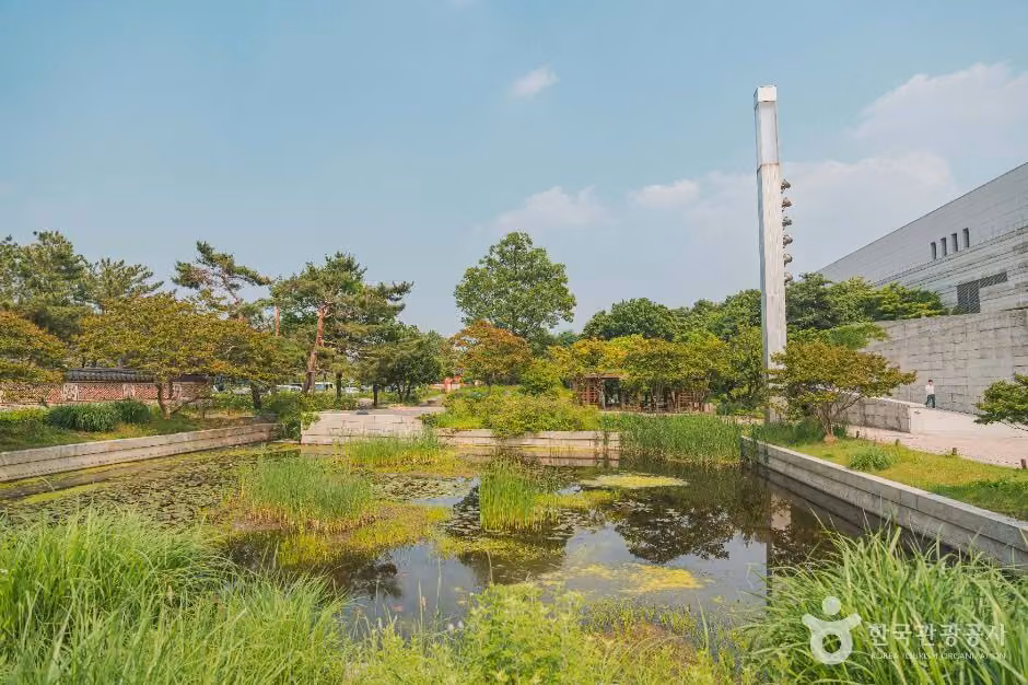 국립중앙박물관 전통염료식물원
