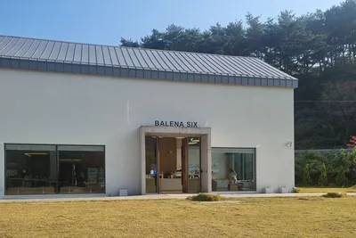 발레나식스