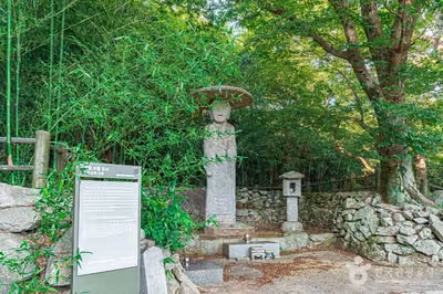 망제동석불입상