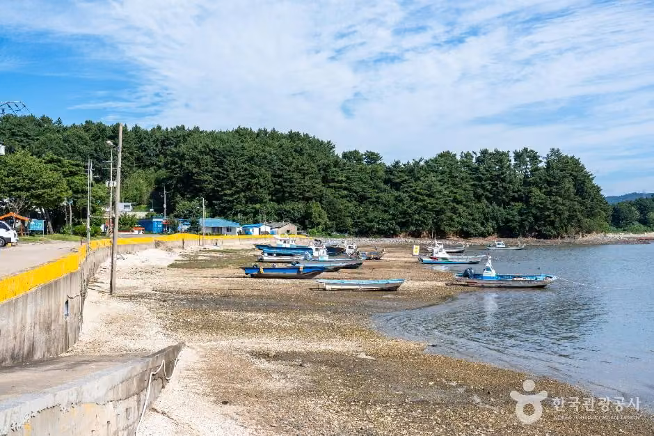 왕산포구