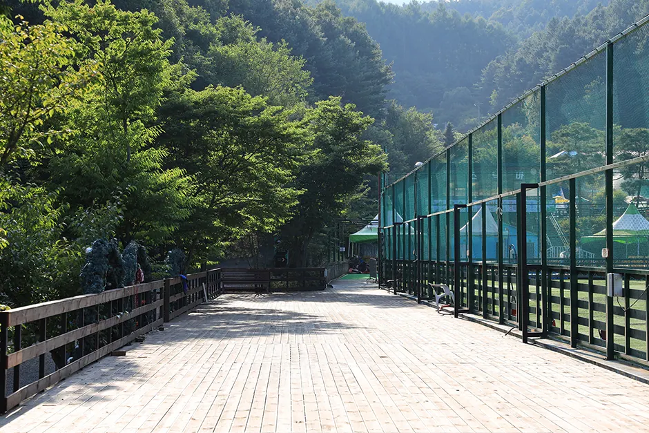 예담숲캠핑장