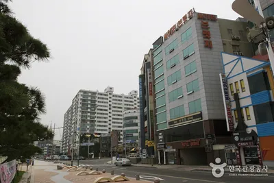 브릿지모텔