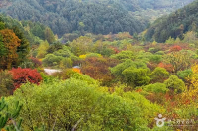 비밀의정원