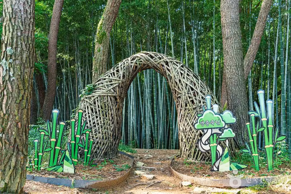 고창읍성 맹종죽림