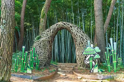 고창읍성 맹종죽림