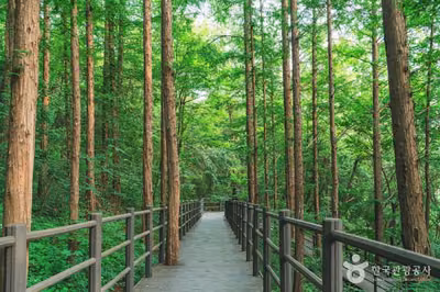 서대문 안산(안산자락길)