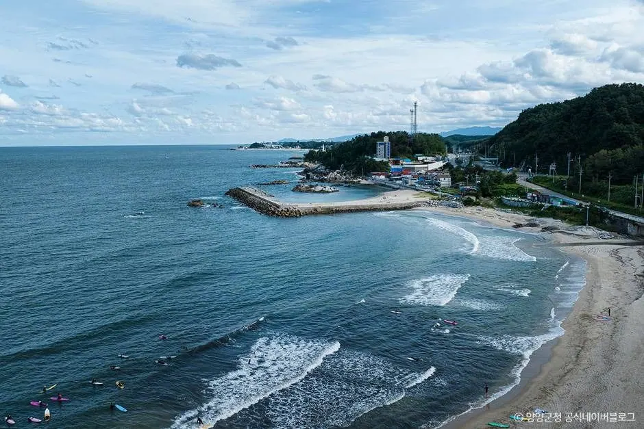 인구항