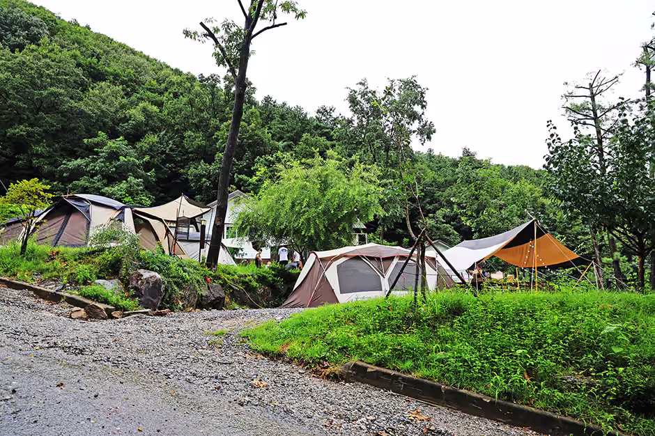 용인자연숲캠핑장