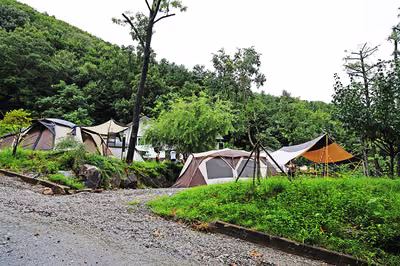 용인자연숲캠핑장