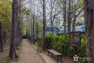 고흐의 길