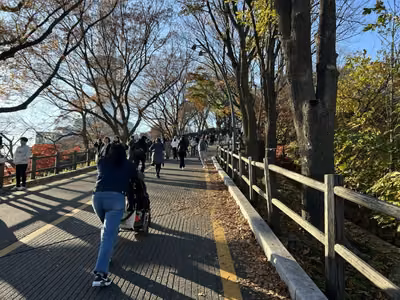 남산순환나들길