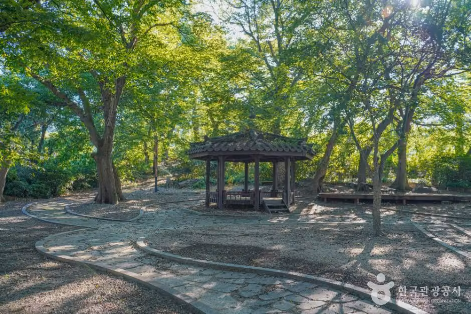 용전숲