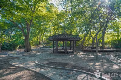 용전숲