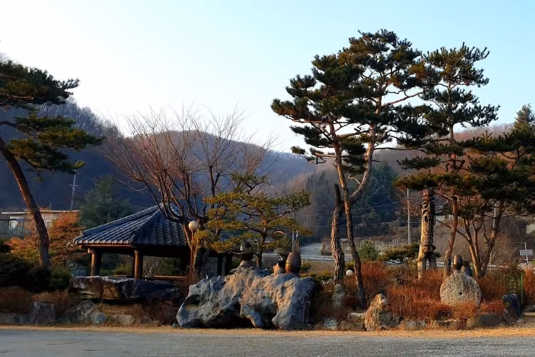엽돈재가든