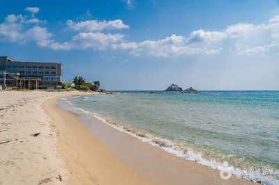 자작도해변