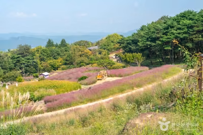 가산수피아