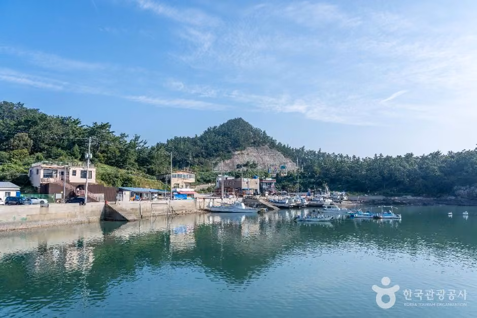 선유1구항