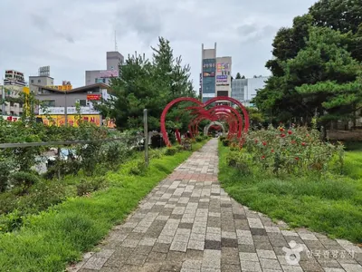 장미공원
